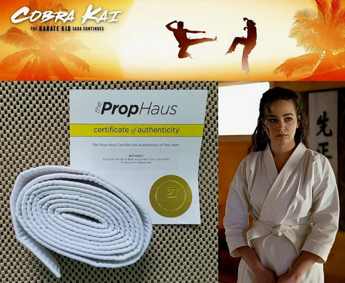 Cobra kai screen worn - cobra,