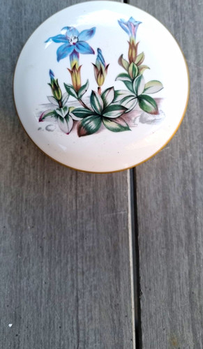 Royal worcester fine bone - royal,