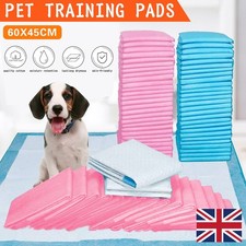 50/100/200x Large Puppy