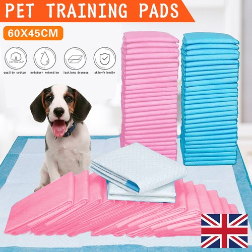 100 200x large puppy - large,