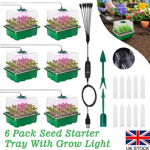 6pack seed starter tray - 6pack, with
