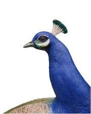 Elegant Fibreglass Peacock