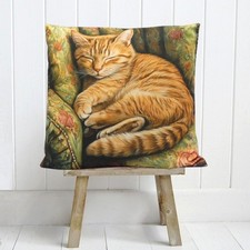 Ginger Tabby Cat Sleeping Cushion Cover Decorative Country Cottage Novelty Gift