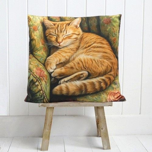 Ginger tabby cat - ginger, sleeping