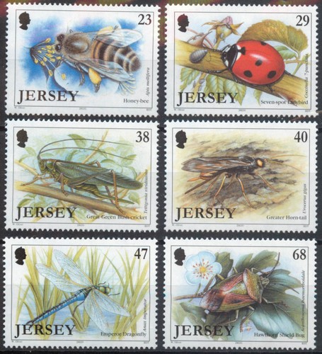 Jersey 2002 nature insects - 2002, nature: