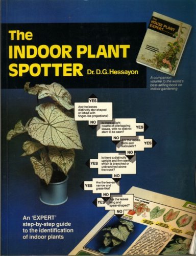 The indoor plant - the,