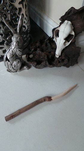 Magical blackthorn wood wand - blackthorn,