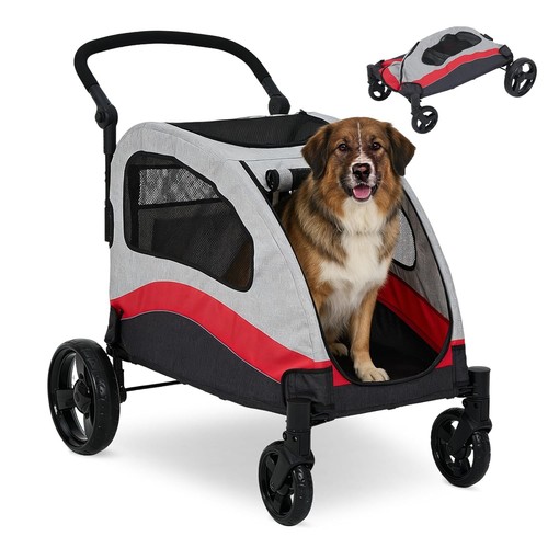 Extra large pet - extra, dogs