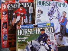 NICE COLLECTION OF 8 X HORSE