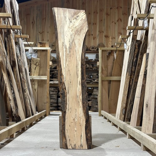 Spalted beech plank board - spalted,
