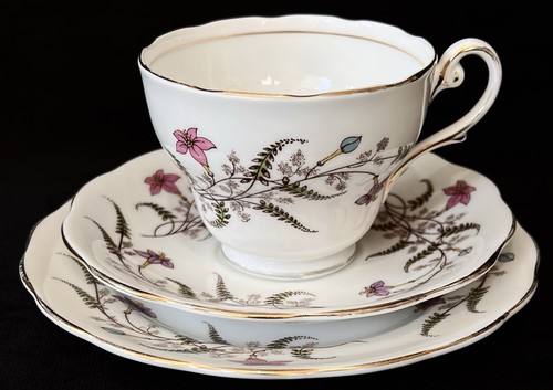 Royal standard fancy free - royal,