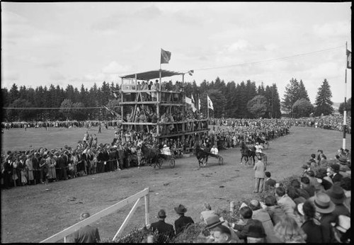 49th marche concours - 49th, marche-concours