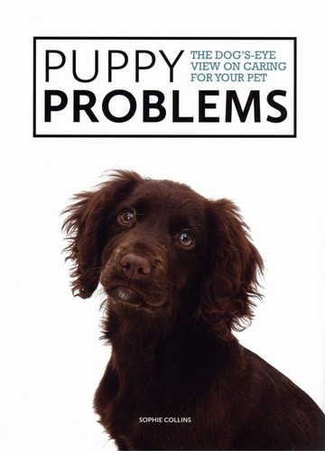 Puppy problems - puppy,