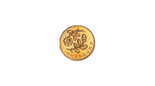 One pound rare circulated - pound,