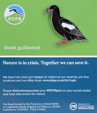 RSPB Pin Badge NIIC Black Guillemot P03191