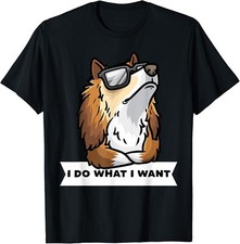 Shetland Sheepdog Stubborn