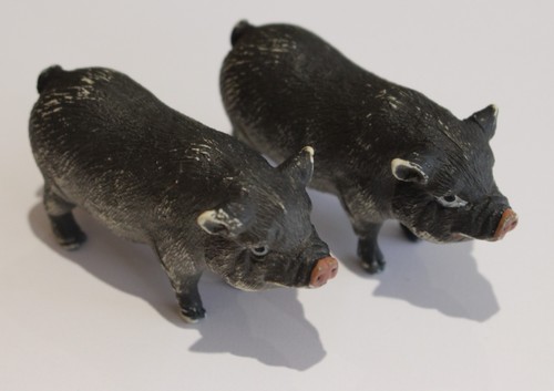 Black pot bellied piglets - 2,