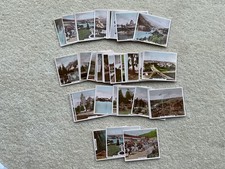 Sunripe & Spinet Oval Compete