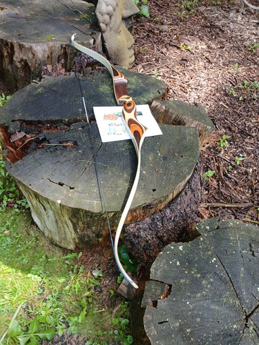 Wild vintage ben pearson - vintage,