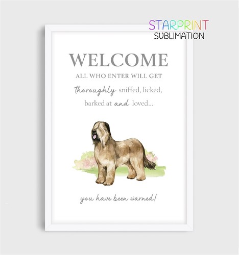Briard unframed picture - unframed,