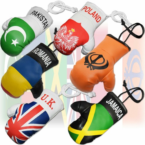 Mini boxing gloves - mini, hanger