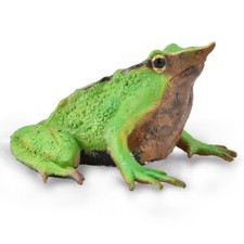 CollectA Darwin's Frog