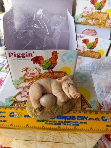 Piggin broody 1994 by - ,