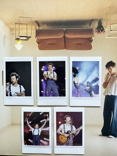 Harry styles hslot - styles,