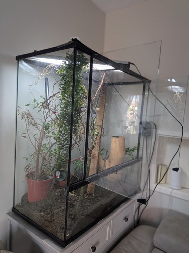 Terrarium reptile tank fully - terrarium,