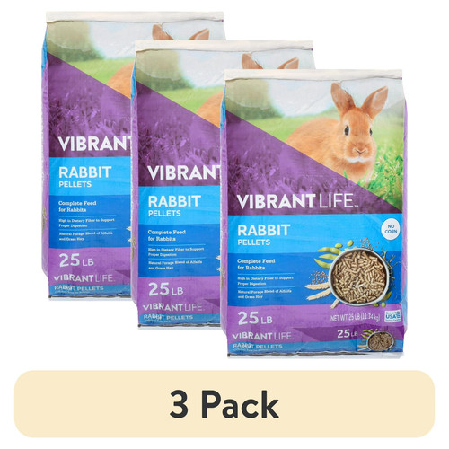 Vibrant life rabbit - (3,