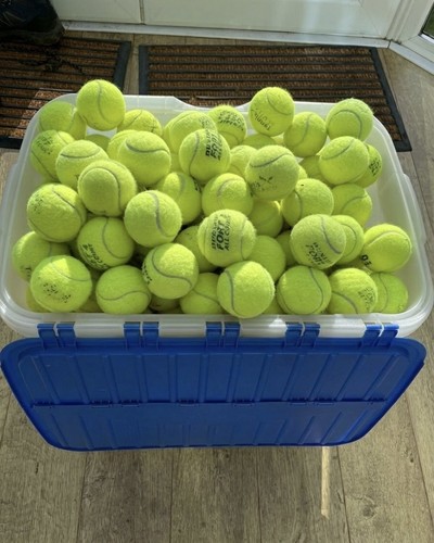 Used tennis balls - 10,