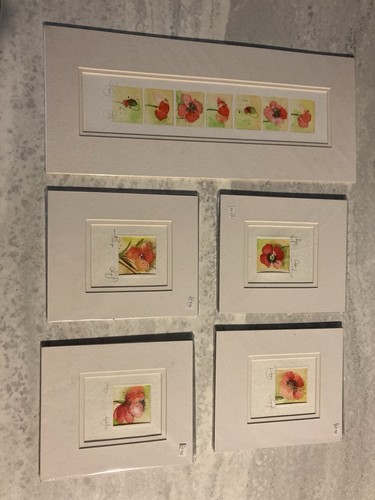 Set poppy watercolours - of,