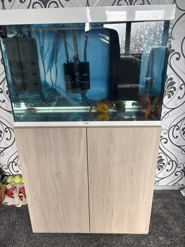 Fish tank cabinet and - fish,