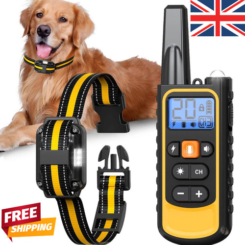 800m electric pet - electric, dog