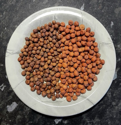 Carlin pea collection - collection, two