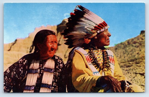Native american indian chief - native,