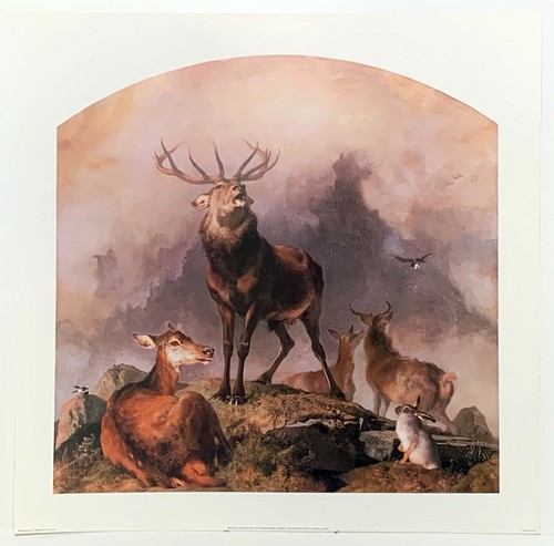 Highland deer sir - by, edwin