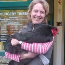 6 Purebred Giant Brahma