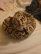 IKEA DJUNGELSKOG 404.028.11