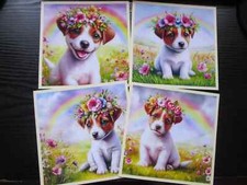 SALE  === 4 x TAN & WHITE JACK