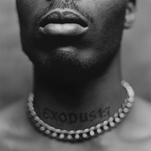 Dmx exodus album - 12",