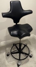 Hag Capisco Office Chair