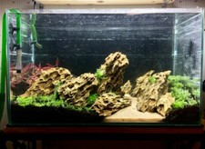 NATURAL DRAGON STONE ROCK