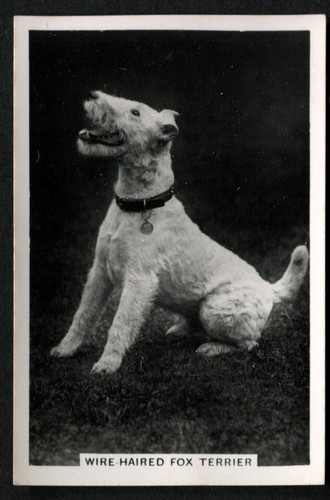 Tobacco card senior service - card,,
