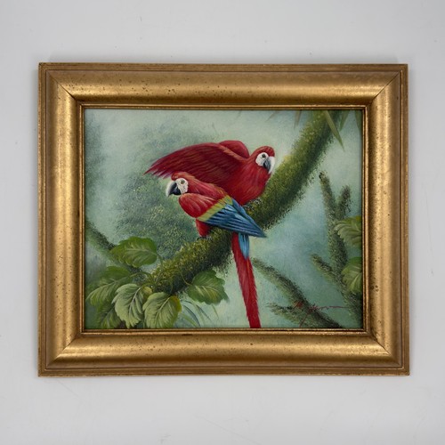 Tropical scarlet macaw parrot - macaw,