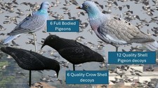Pigeon and crow decoy combo - pigeon,