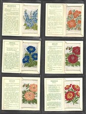 1934 WIX KENSITAS SILK FLOWERS
