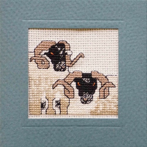 Blackface sheep miniature card - blackface,
