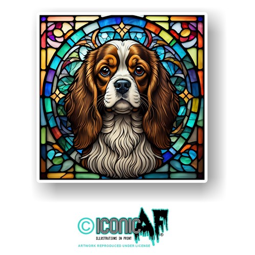 Large king charles spaniel - charles,