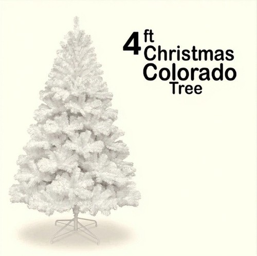 Christmas tree xmas - christmas,
